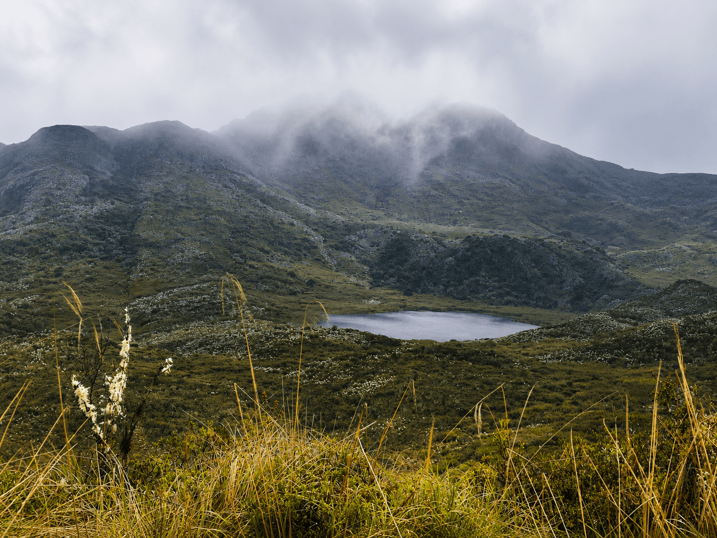 Parque natural de Chingaza